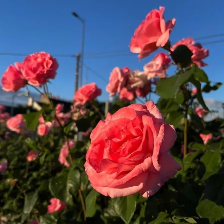 Maison Cabotte Szálloda