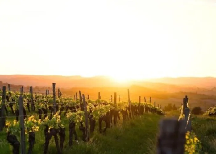 Отель Maison Cabotte 3*